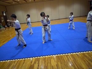 IMG_9243