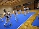 IMG_9251